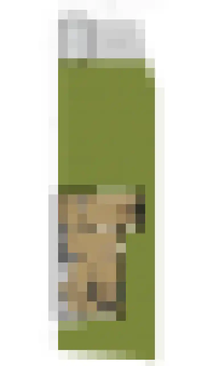 Torenveld 23 Boekel thumbnail 41
