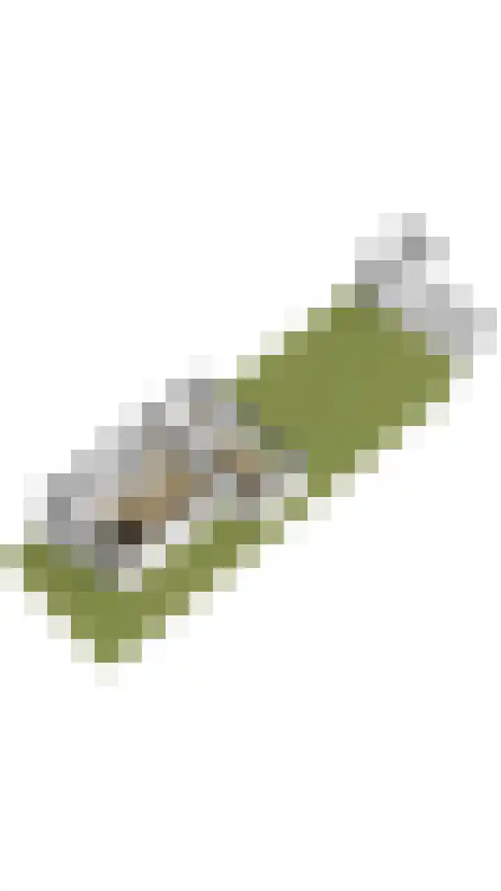 Torenveld 23 Boekel thumbnail 42