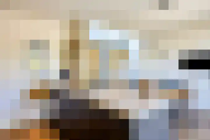 Torenveld 30 Boekel thumbnail 13