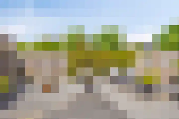 Torenveld 30 Boekel thumbnail 31