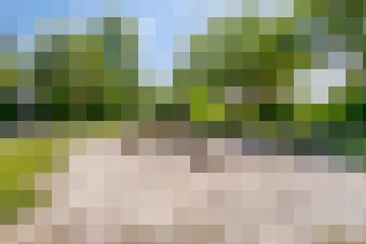 Torenveld 30 Boekel thumbnail 33