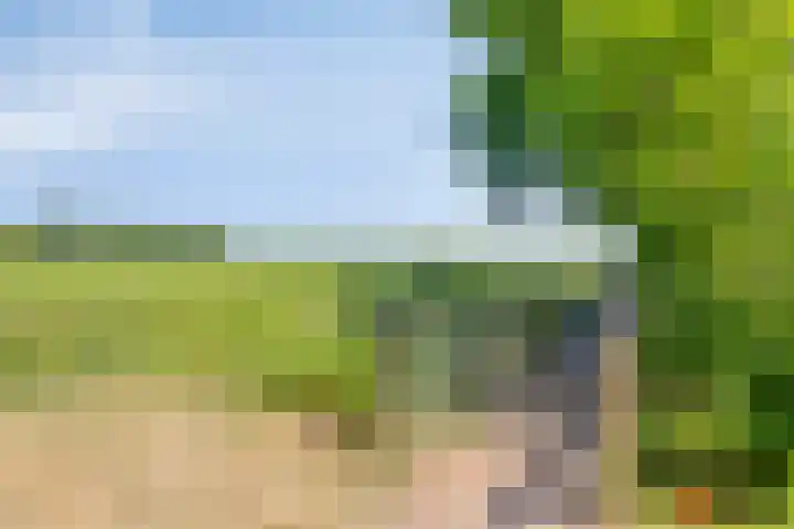 Torenveld 30 Boekel thumbnail 34
