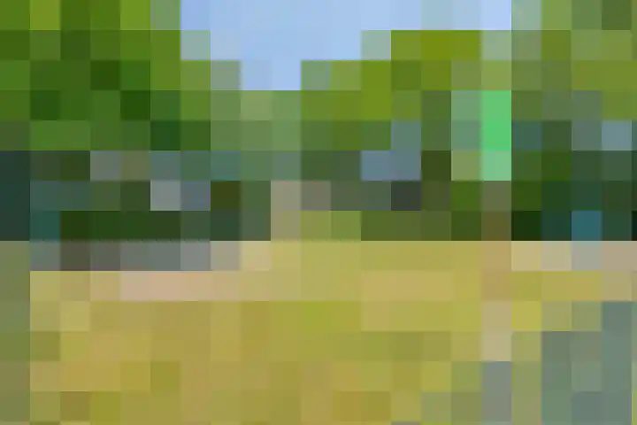 Torenveld 30 Boekel thumbnail 35