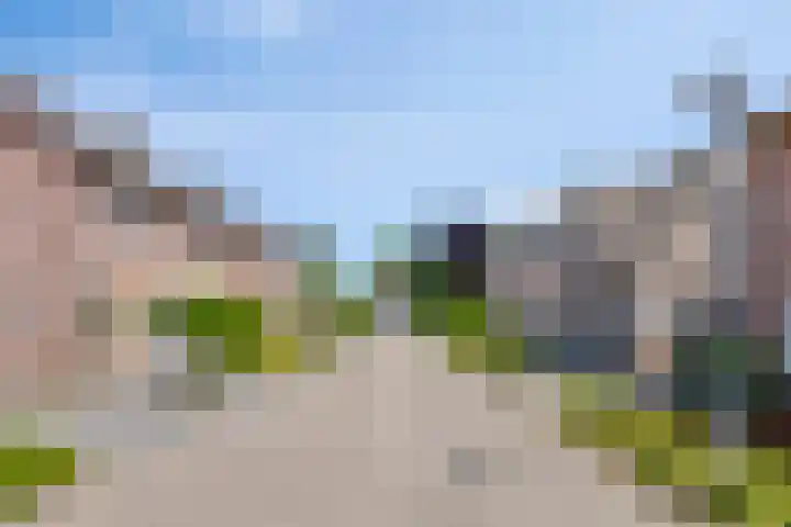 Torenveld 30 Boekel thumbnail 37