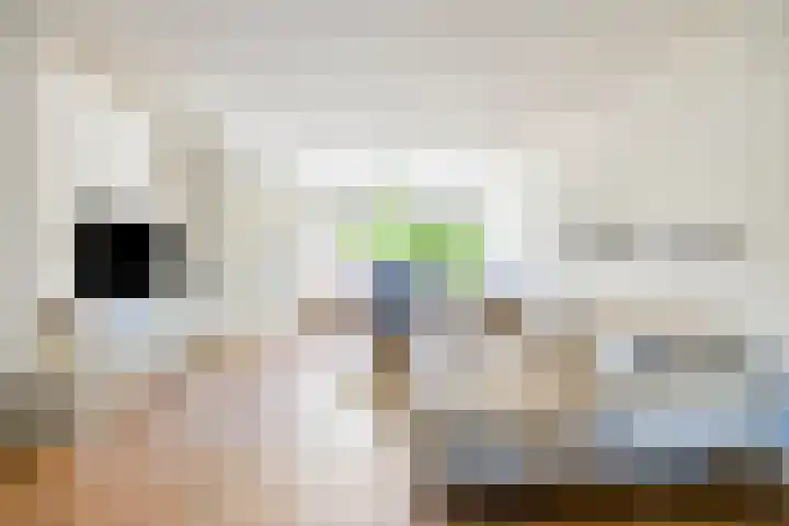 Torenveld 30 Boekel thumbnail 7