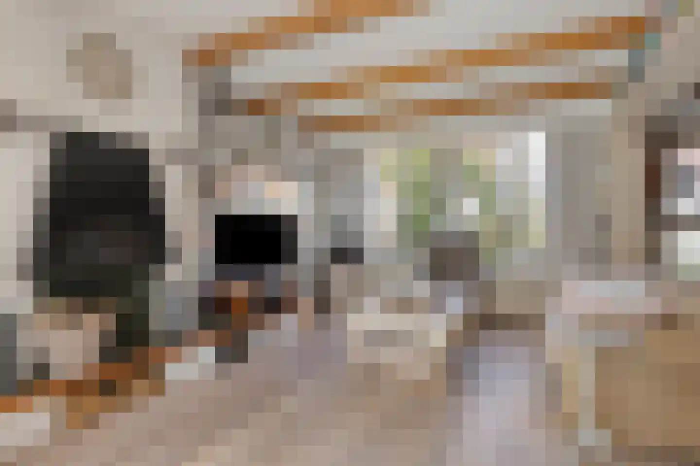 Torenven 14 Amsterdam thumbnail 10