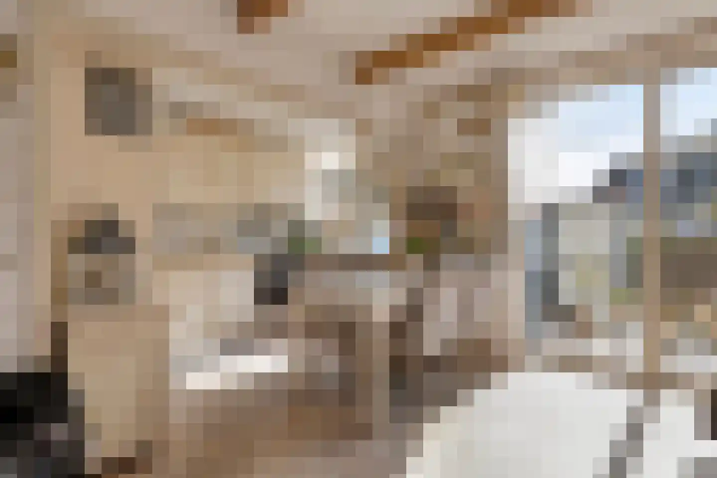 Torenven 14 Amsterdam thumbnail 12