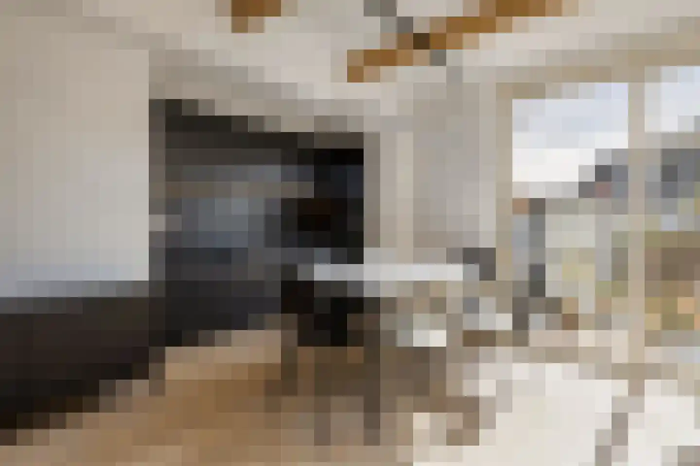 Torenven 14 Amsterdam thumbnail 13