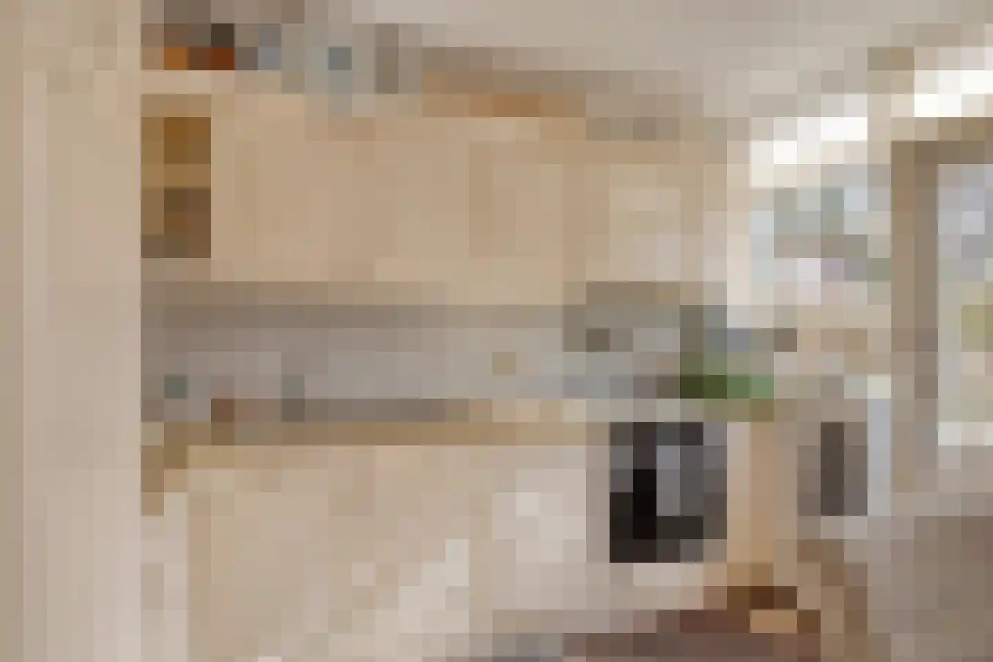 Torenven 14 Amsterdam thumbnail 13