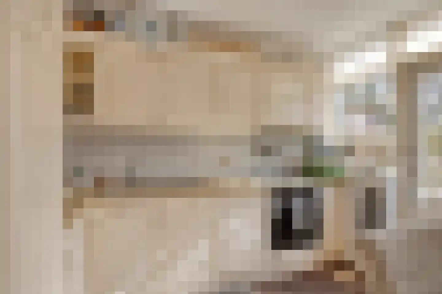 Torenven 14 Amsterdam thumbnail 15