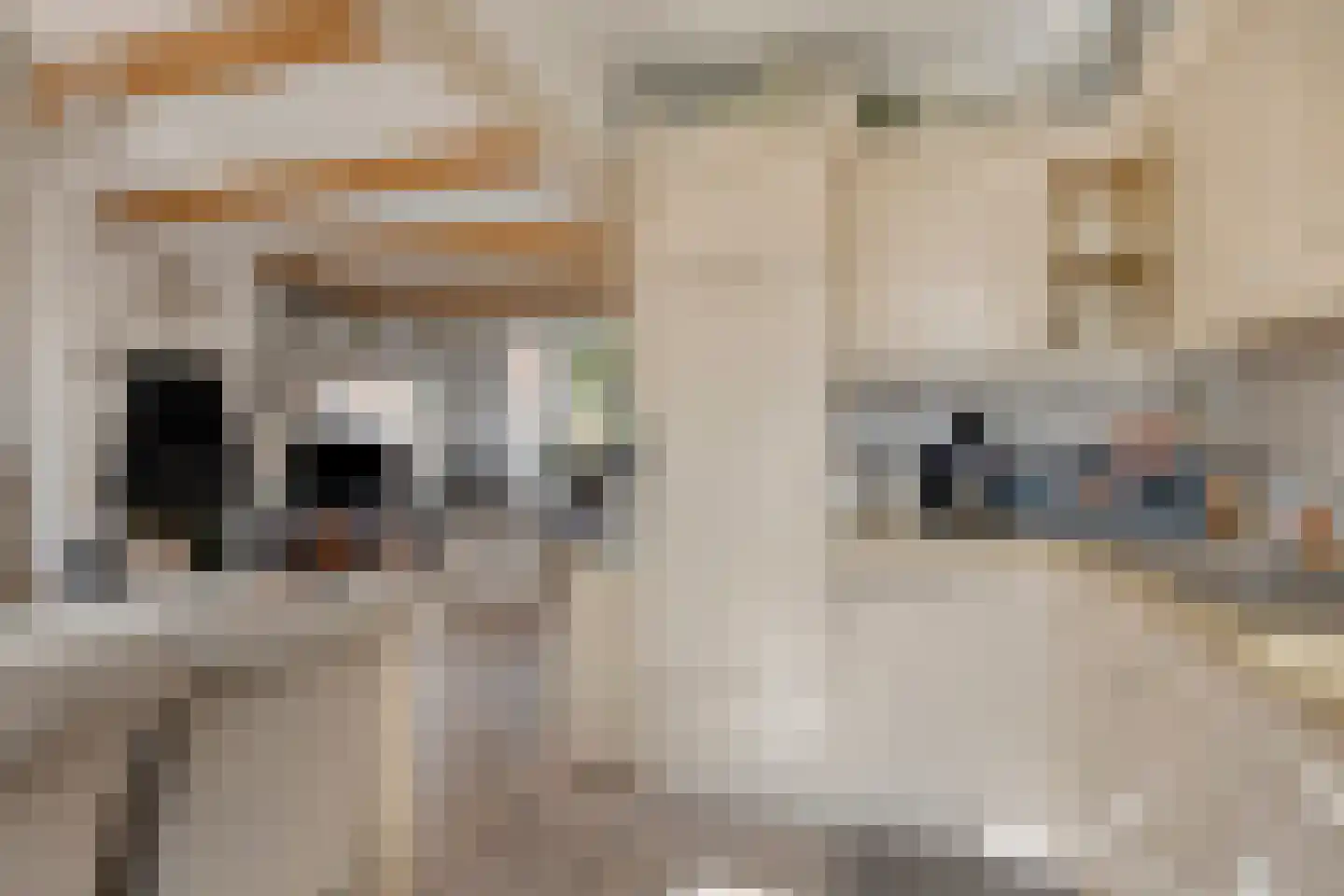 Torenven 14 Amsterdam thumbnail 16