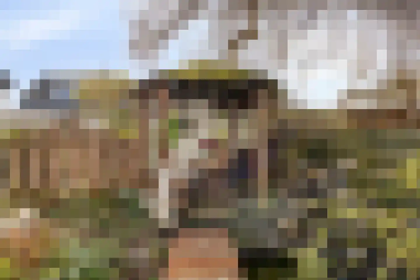 Torenven 14 Amsterdam thumbnail 19