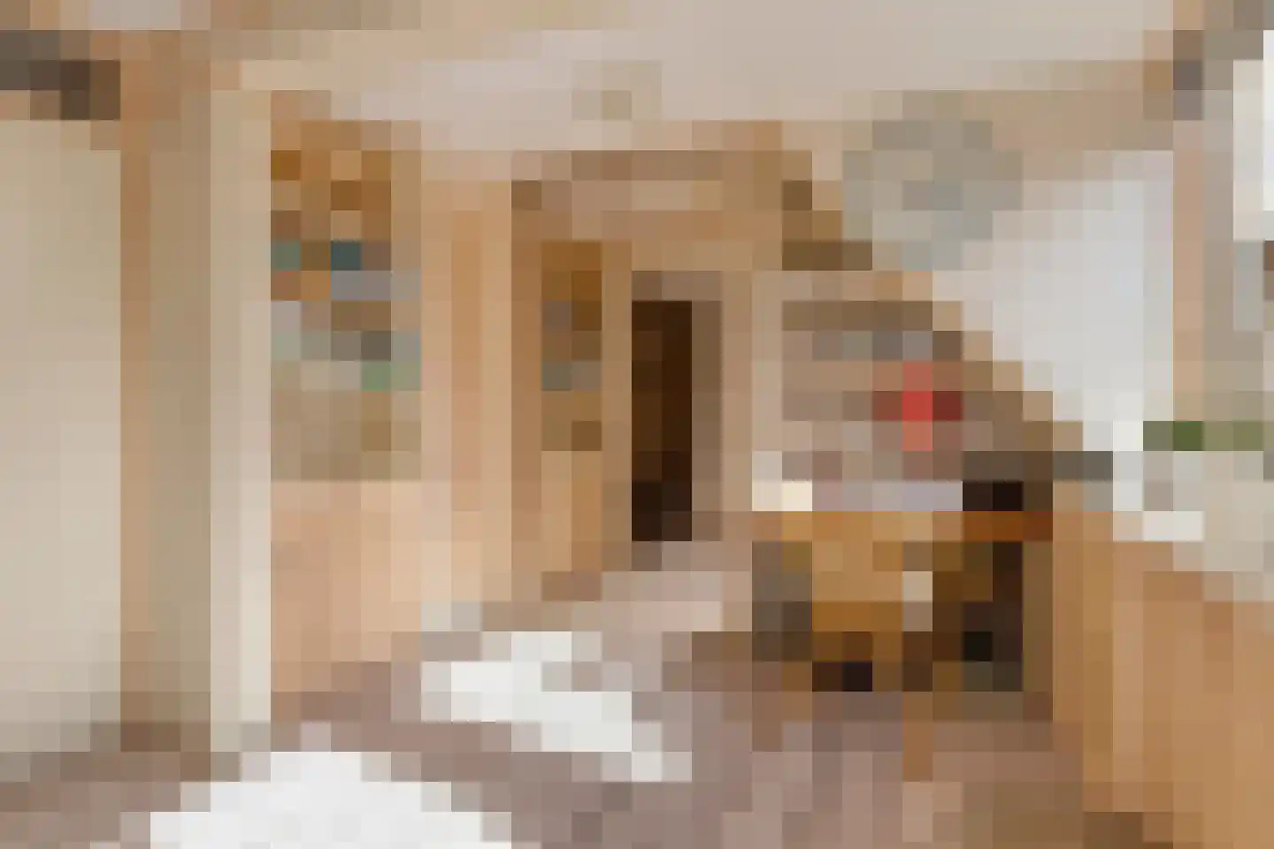 Torenven 14 Amsterdam thumbnail 22