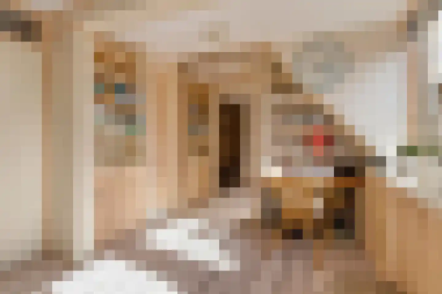 Torenven 14 Amsterdam thumbnail 25