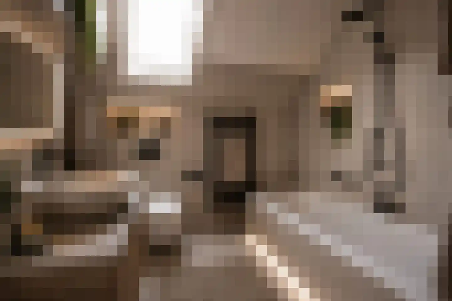 Torenven 14 Amsterdam thumbnail 26