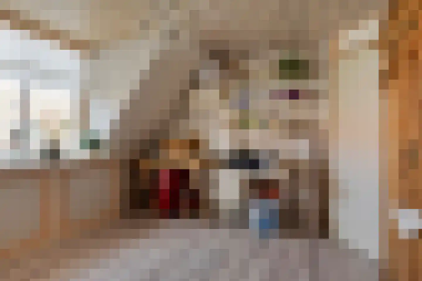 Torenven 14 Amsterdam thumbnail 32