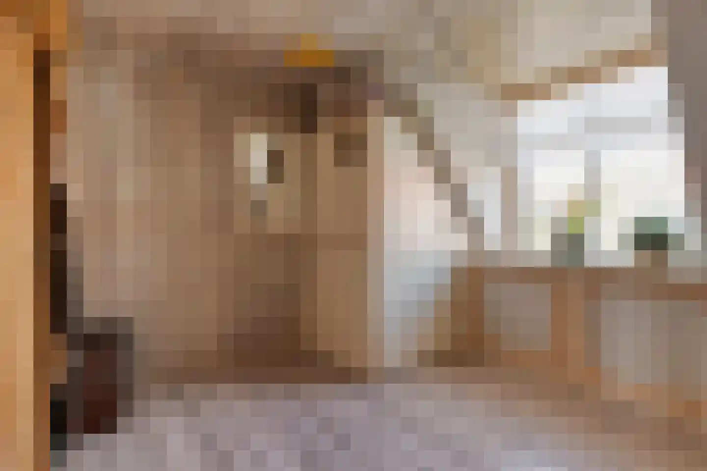 Torenven 14 Amsterdam thumbnail 33