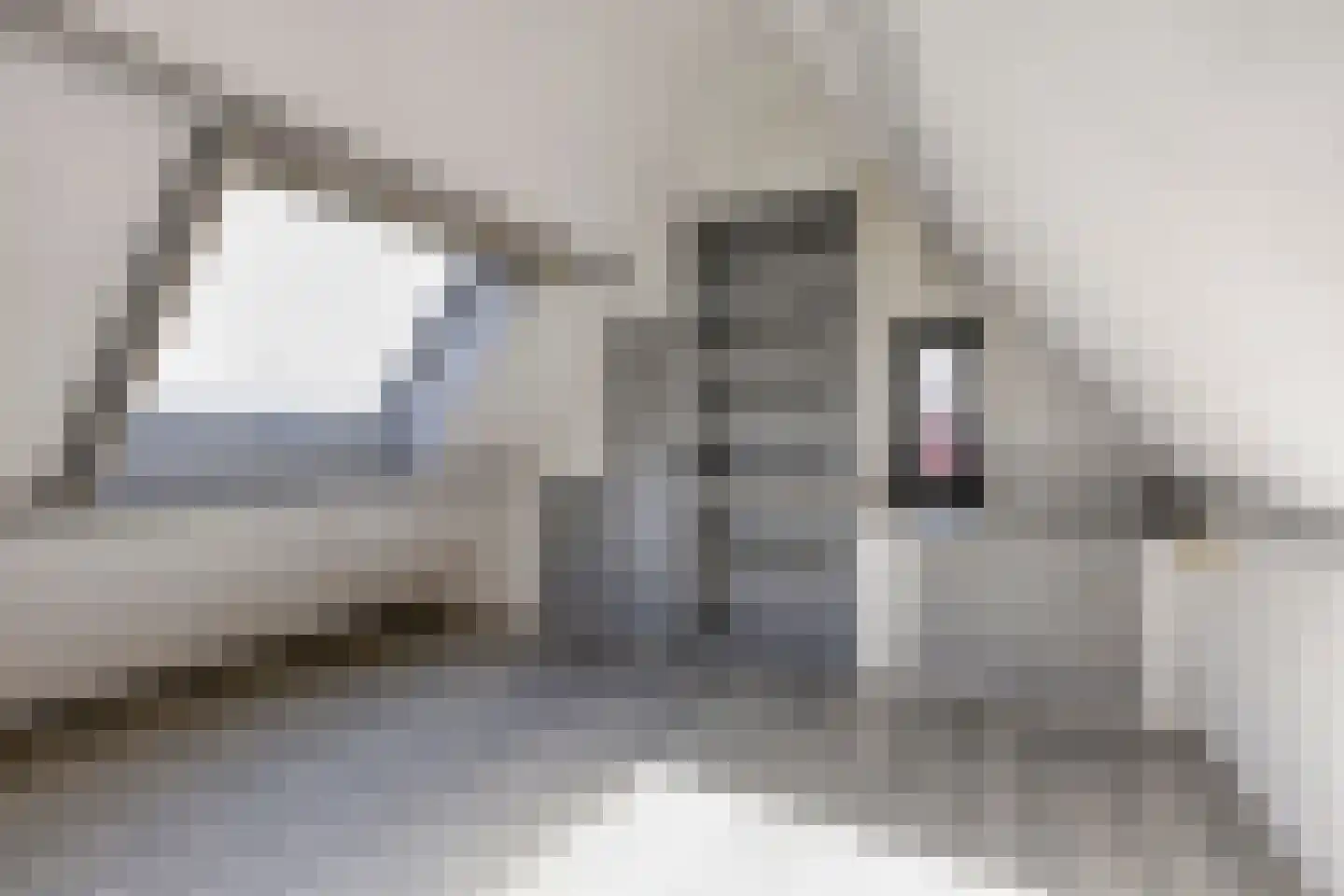Torenven 14 Amsterdam thumbnail 36