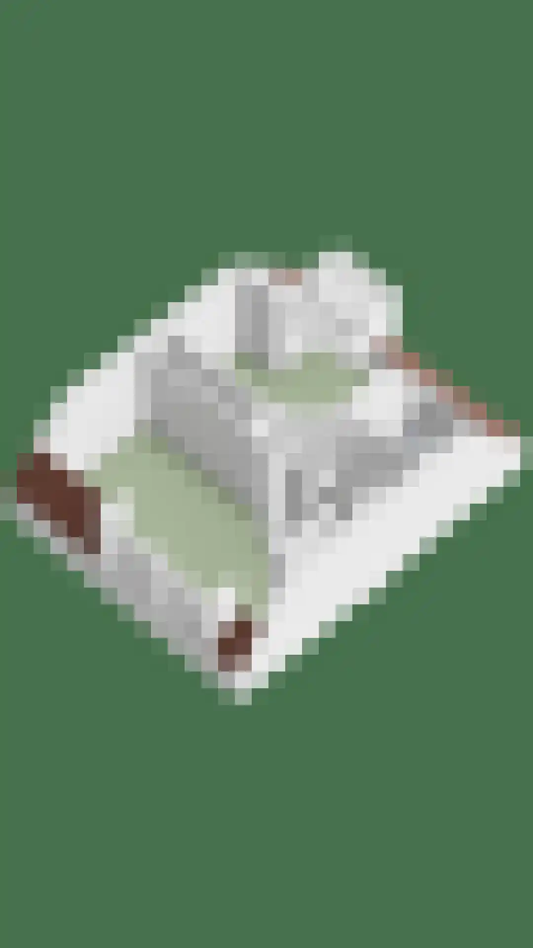 Torenven 14 Amsterdam thumbnail 44