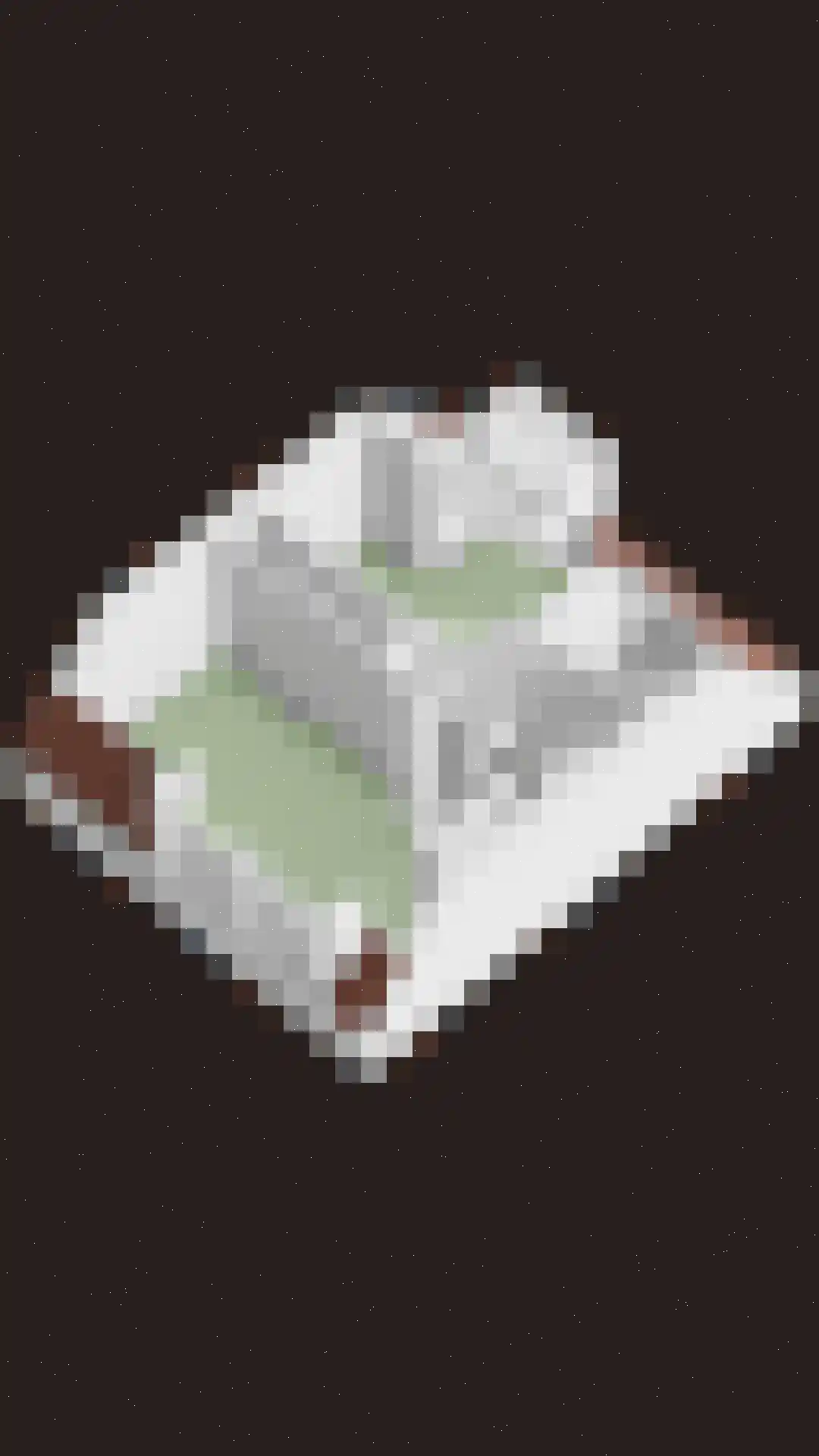 Torenven 14 Amsterdam thumbnail 48