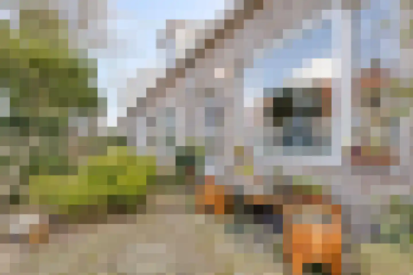 Torenven 14 Amsterdam thumbnail 6