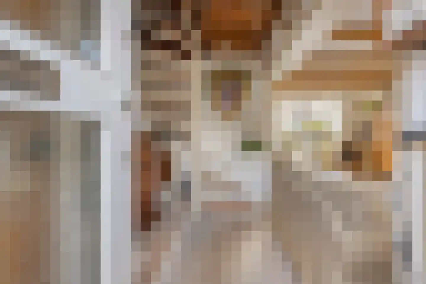 Torenven 14 Amsterdam thumbnail 7