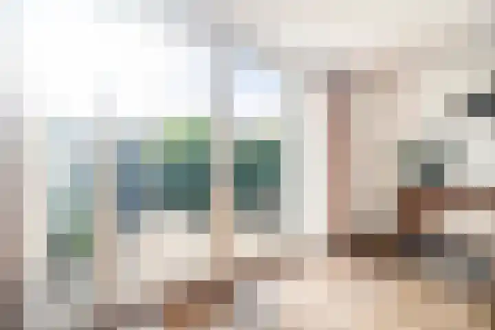 Torenven 8 Amsterdam thumbnail 13