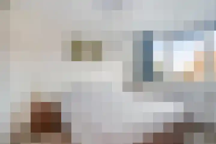 Torenven 8 Amsterdam thumbnail 20