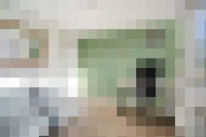 Torenven 8 Amsterdam thumbnail 25