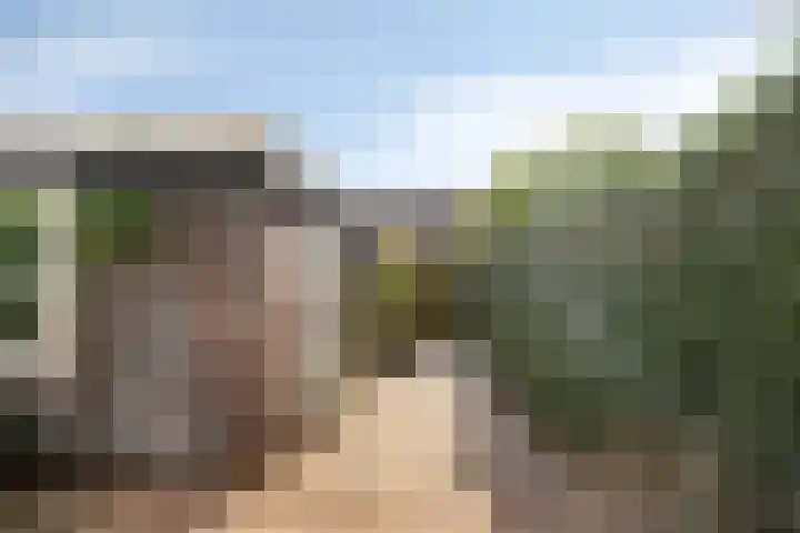 Torenven 8 Amsterdam thumbnail 34