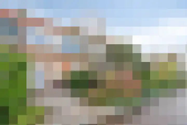 Torenven 8 Amsterdam thumbnail 35