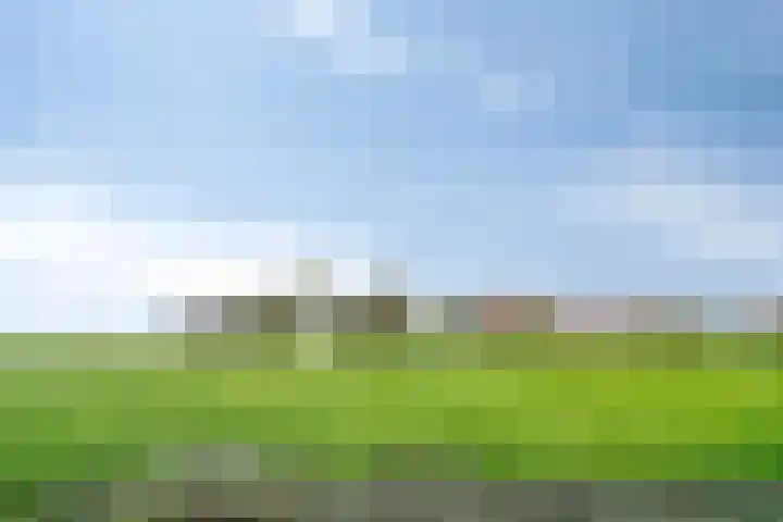 Torenven 8 Amsterdam thumbnail 37