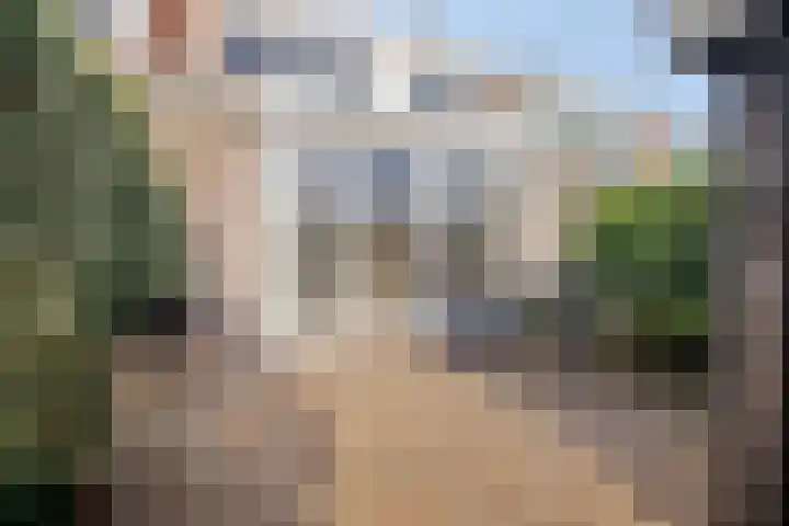 Torenven 8 Amsterdam thumbnail 5