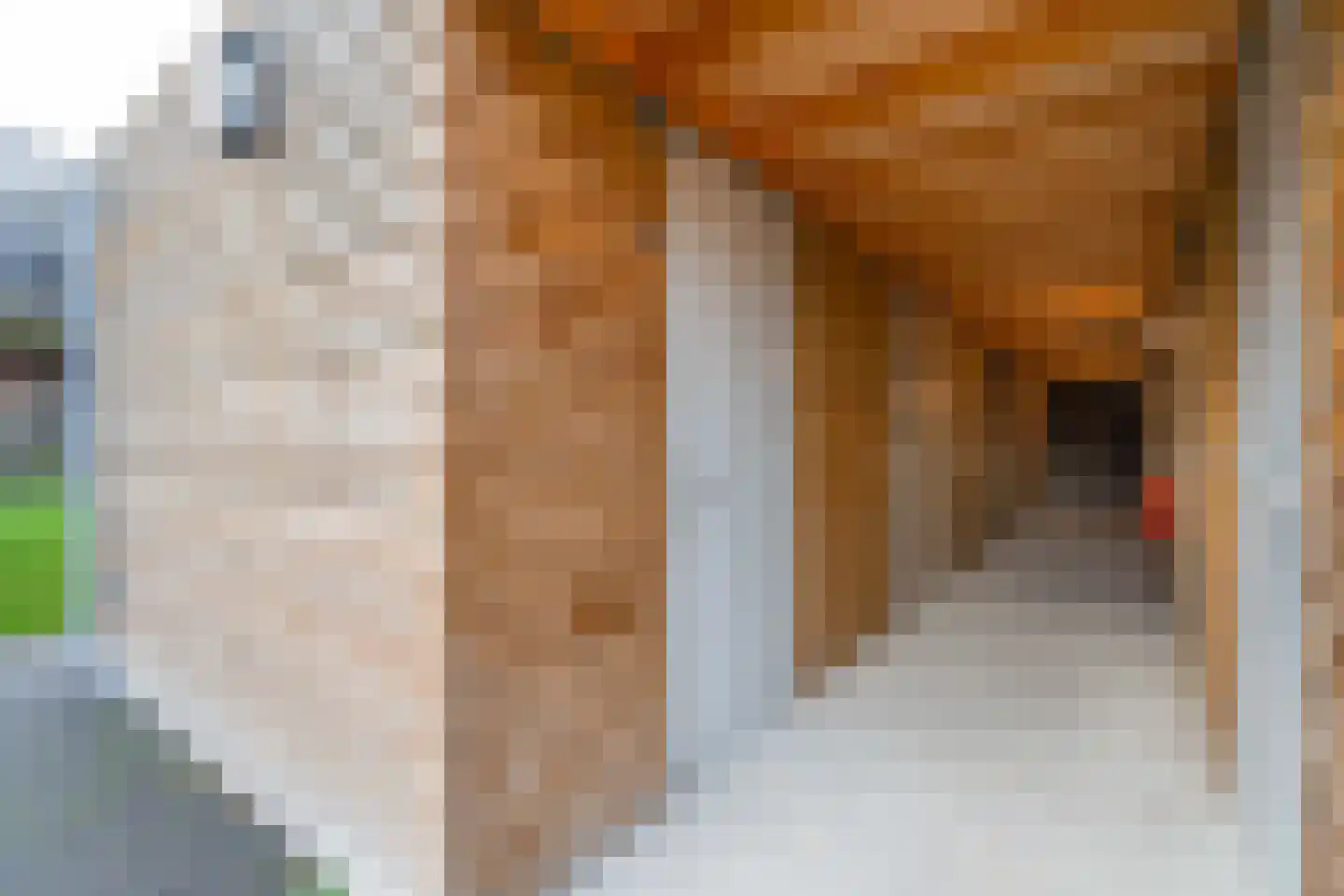 Torenvenplein 19 Warmenhuizen thumbnail 37