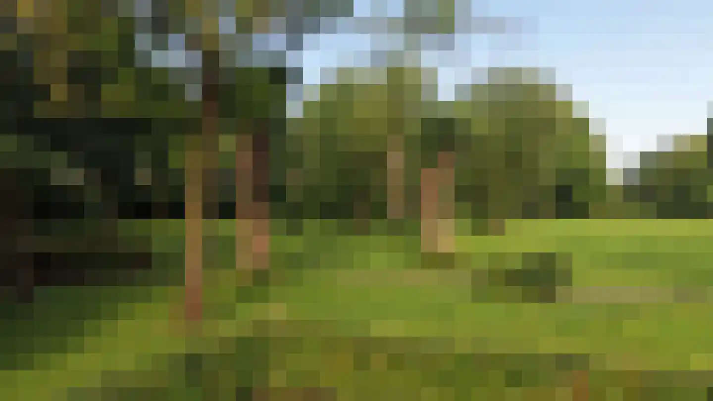 Torenvenplein 19 Warmenhuizen thumbnail 41