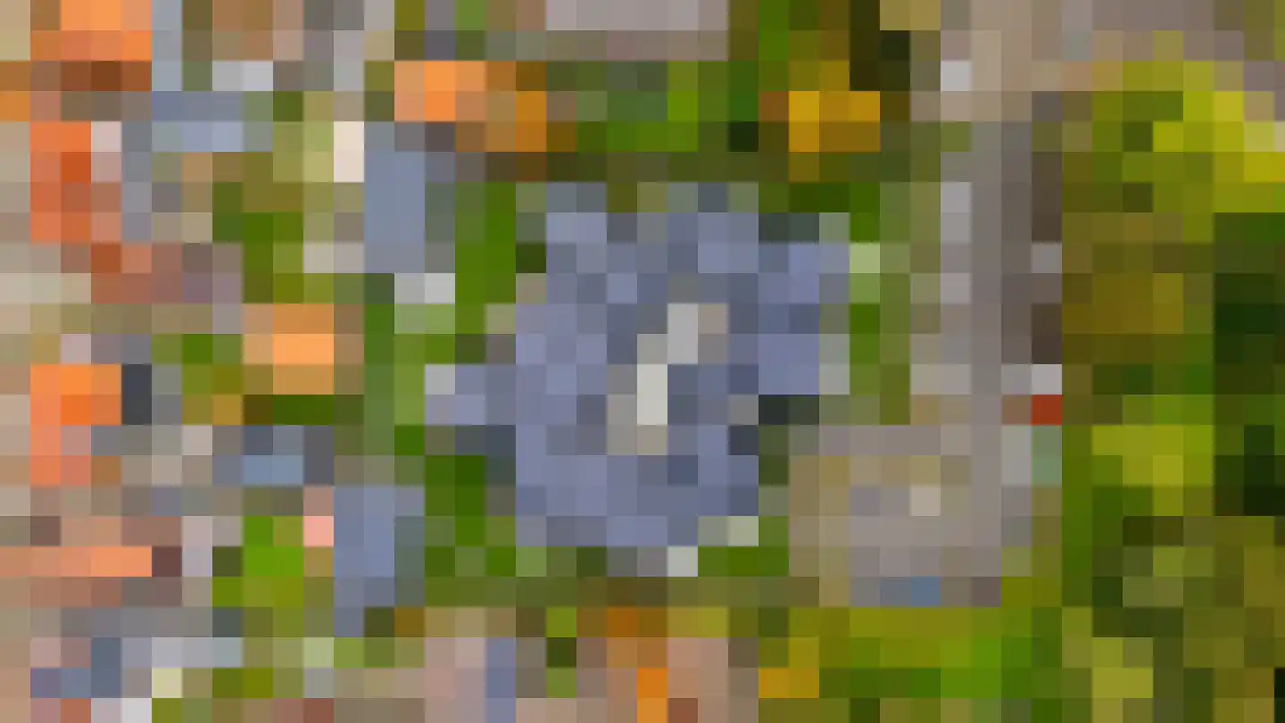Torenvenplein 19 Warmenhuizen thumbnail 6