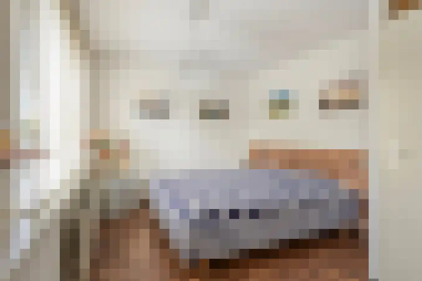 Torenwacht 104 Leiderdorp thumbnail 14