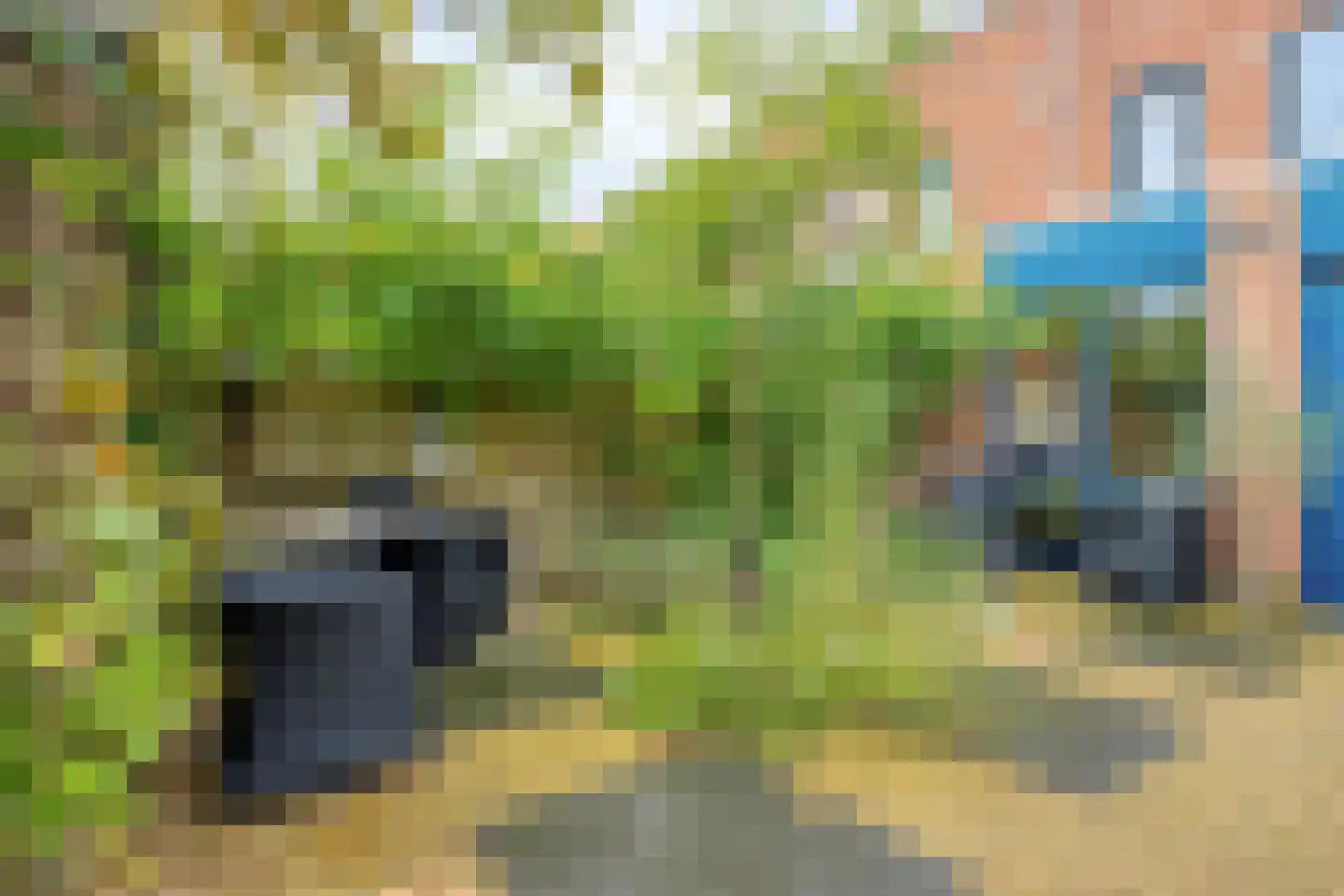 Torenwacht 104 Leiderdorp thumbnail 24
