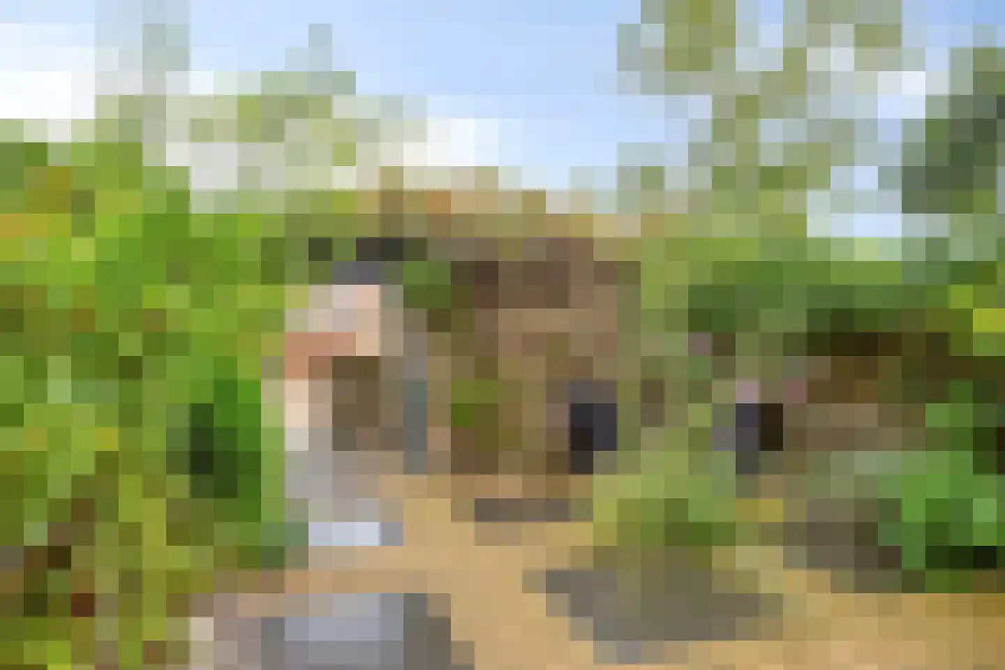 Torenwacht 104 Leiderdorp thumbnail 25