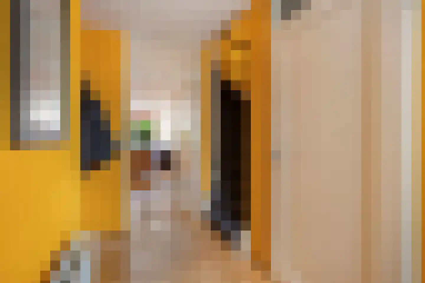 Torenwacht 104 Leiderdorp thumbnail 7