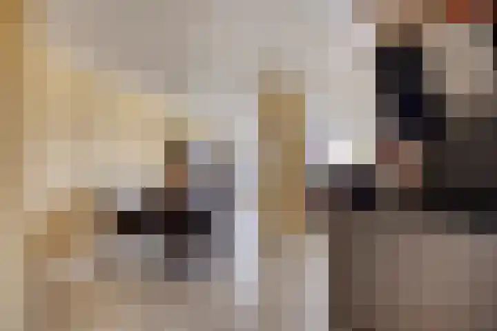 Torenwacht 131 Leiderdorp thumbnail 17