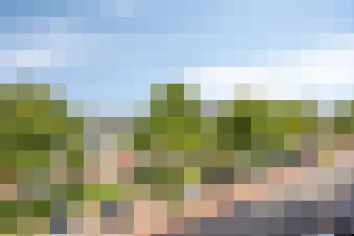 Torenwacht 131 Leiderdorp thumbnail 23