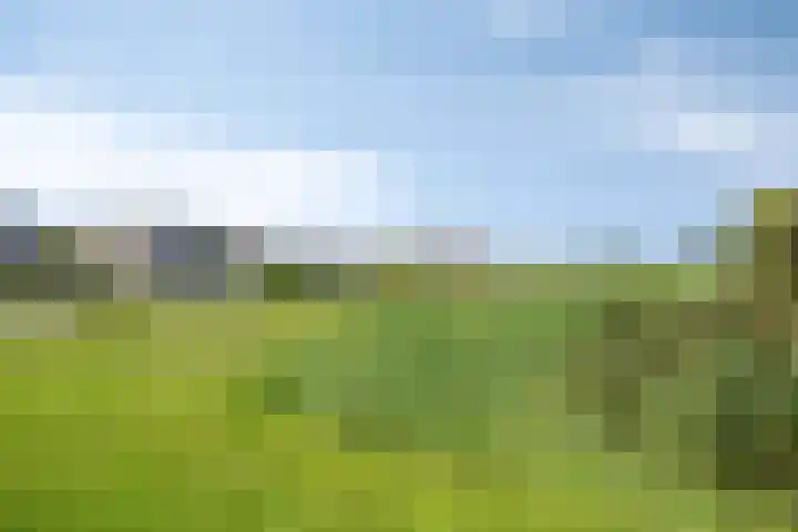 Torenwacht 131 Leiderdorp thumbnail 35