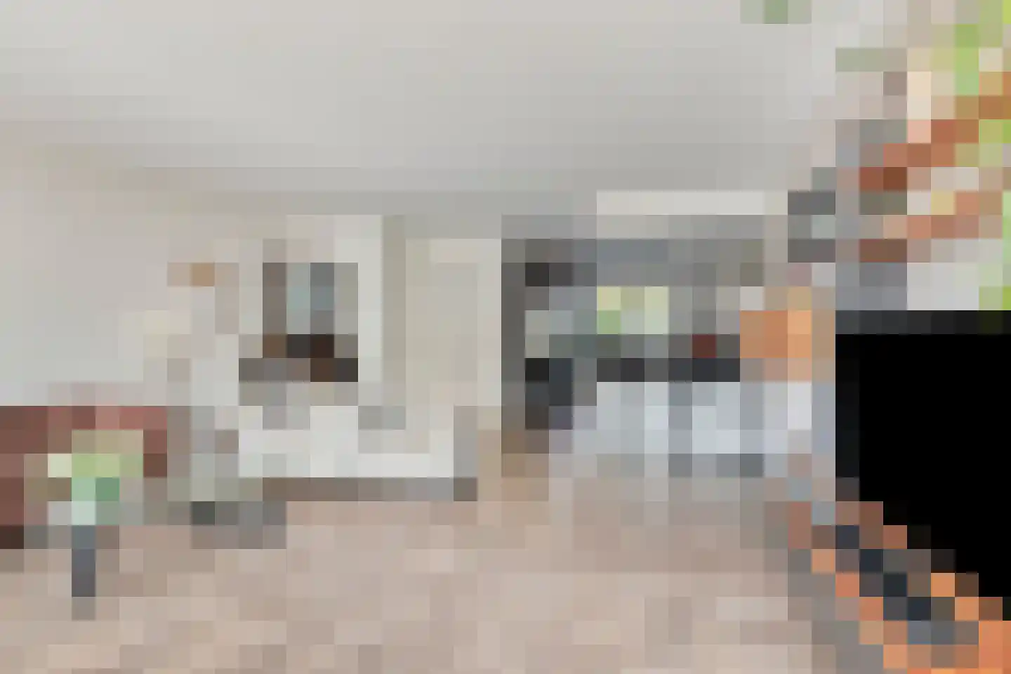 Torenwacht 142 Leiderdorp thumbnail 15