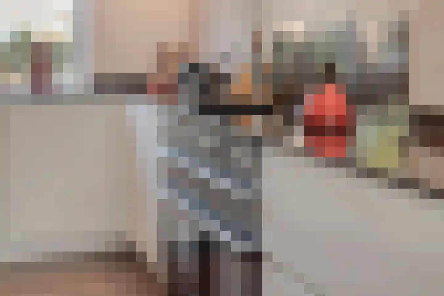 Torenwacht 142 Leiderdorp thumbnail 17