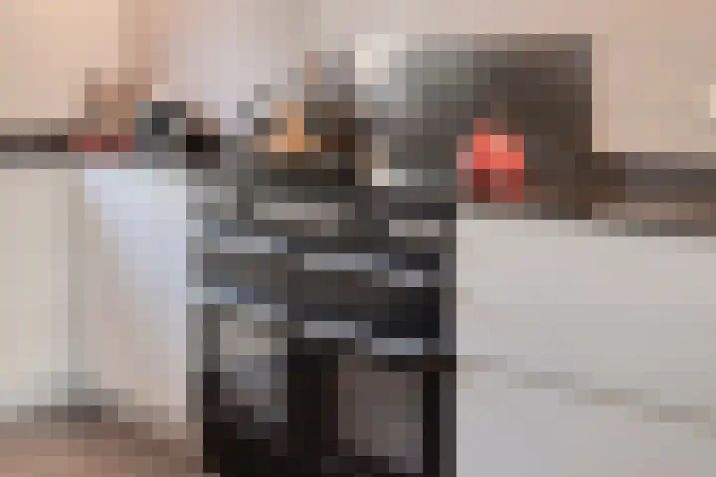 Torenwacht 142 Leiderdorp thumbnail 18