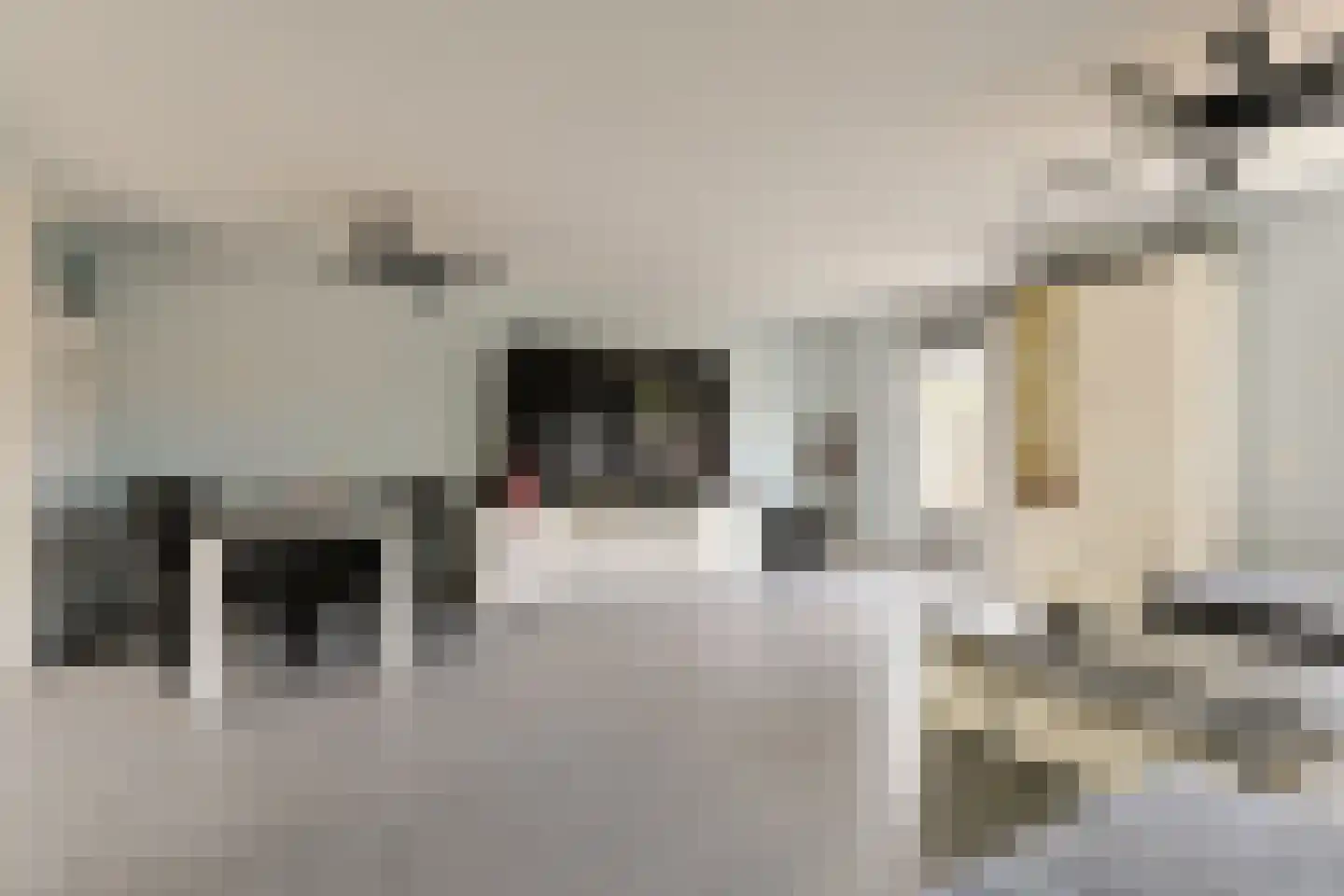 Torenwacht 32 Leiderdorp thumbnail 11