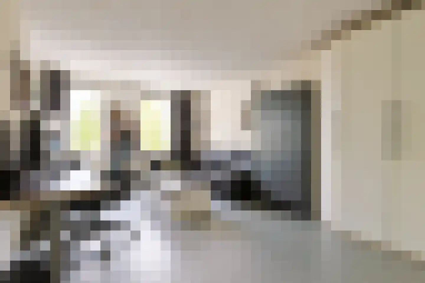 Torenwacht 32 Leiderdorp thumbnail 27
