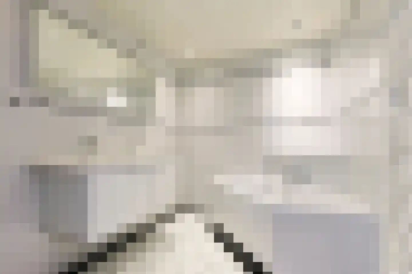 Torenwacht 32 Leiderdorp thumbnail 31