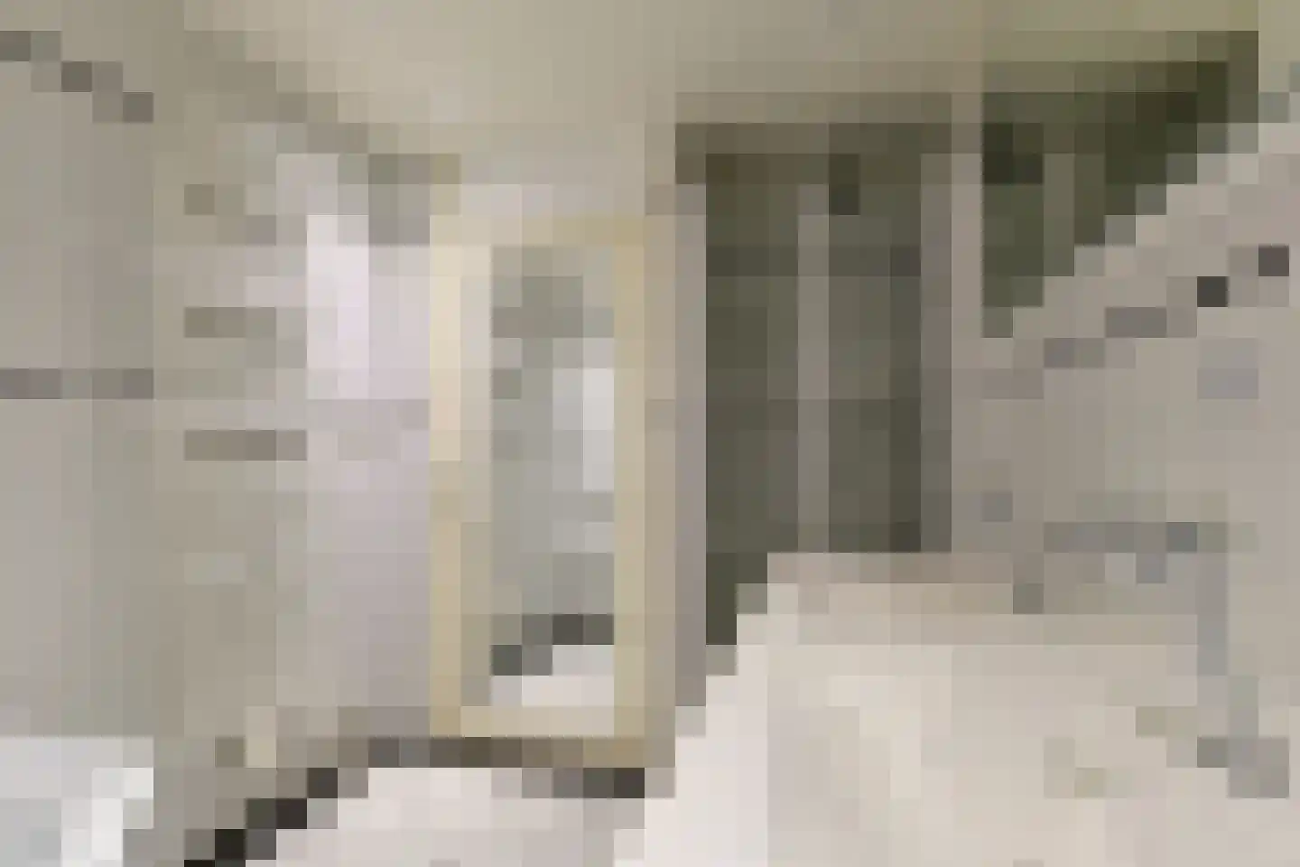 Torenwacht 32 Leiderdorp thumbnail 33